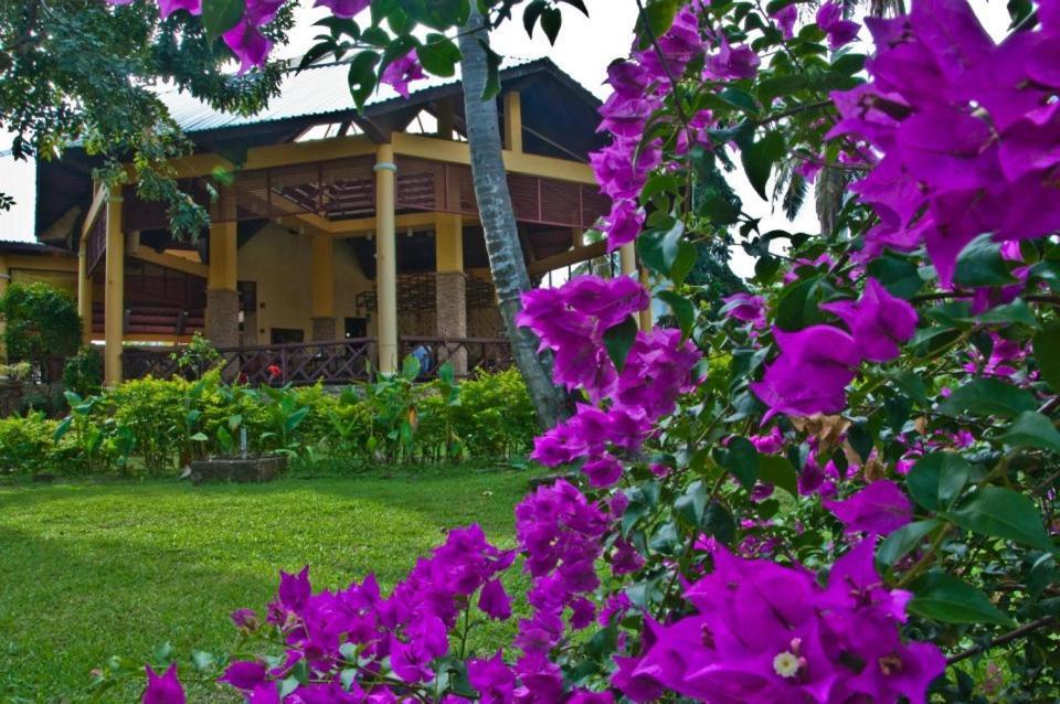 Crystal Paradise Resort Spa & Winery Narra Luaran gambar